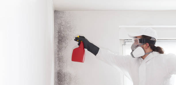 Best Mold Testing  in Sidney, MT